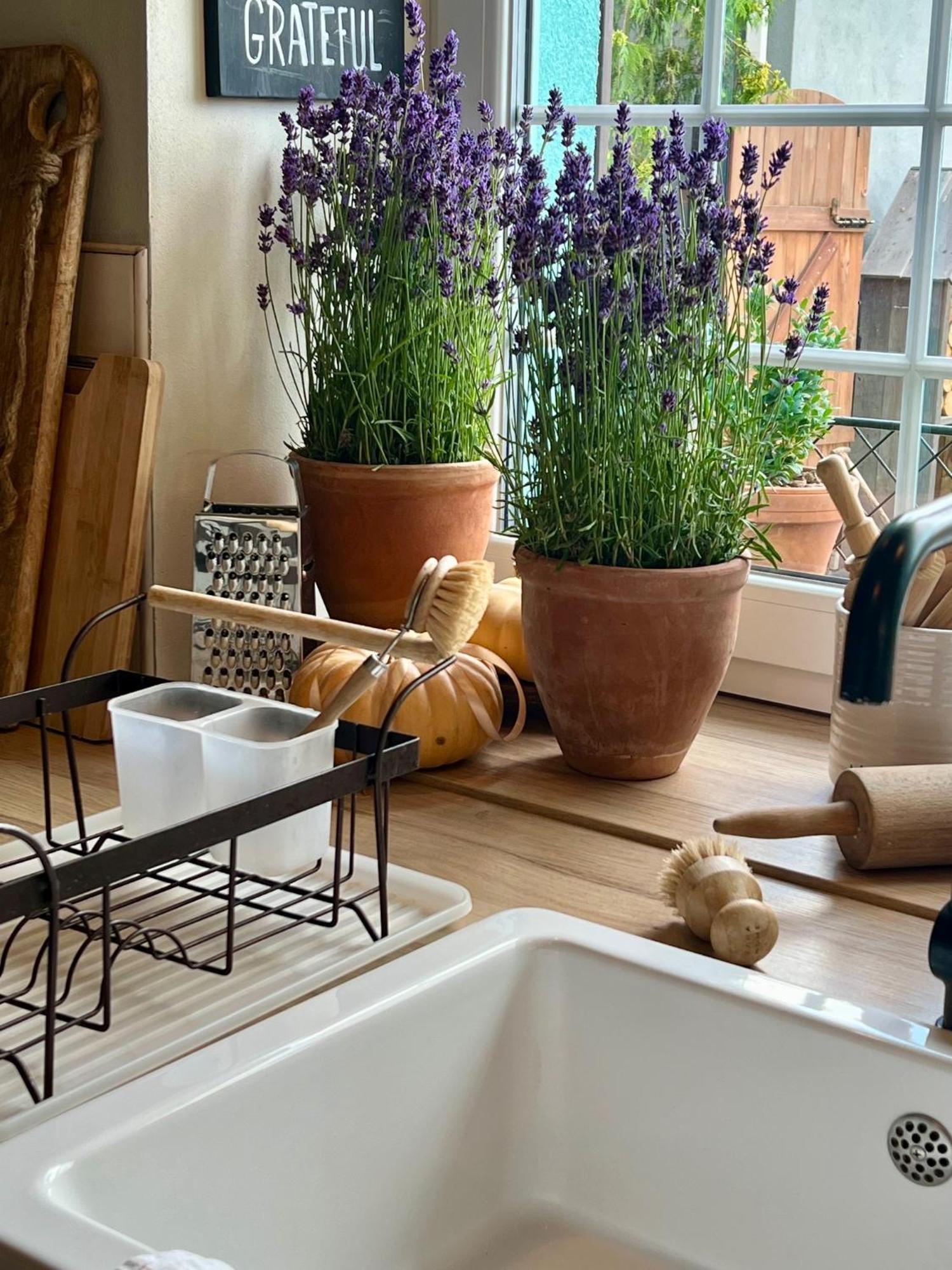 Orchardhouse Farmhouse, Wellness Chrast  Exteriör bild
