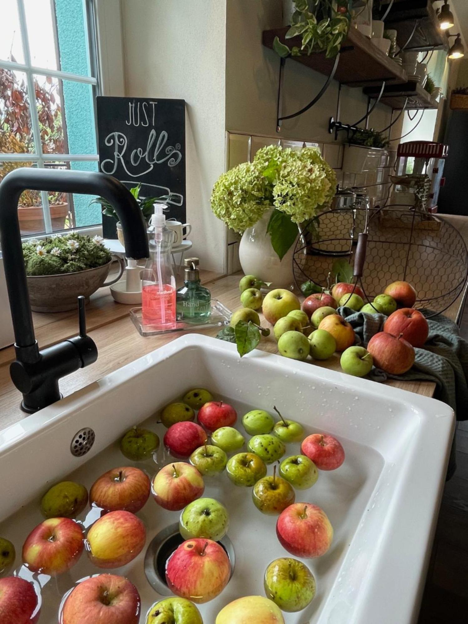 Orchardhouse Farmhouse, Wellness Chrast  Exteriör bild